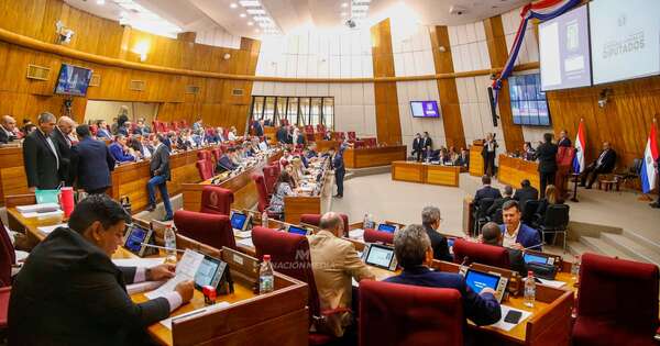 La Nación / Resumen legislativo: Diputados logró importantes consensos y aboga por seguir la misma línea