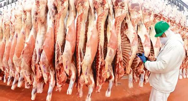 La coyuntura internacional afectó precios en ganadería - Economía - ABC Color