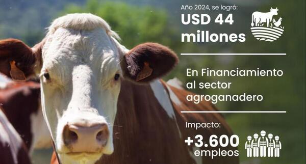 La AFD financiará al sector agroganadero con USD 44 millones