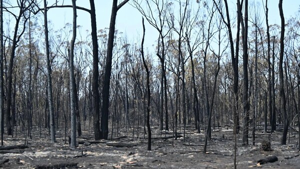 Los incendios calcinan más de 55.000 hectáreas en un parque nacional en Australia
