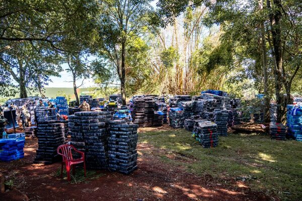 Narcotráfico sufre pérdidas de USD 35 millones tras incautaciones en Canindeyú y el Chaco - El Trueno