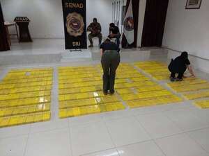 Caso “Squid”: imputan a detenidos con más de 400 kilos de cocaína en el Chaco - Policiales - ABC Color