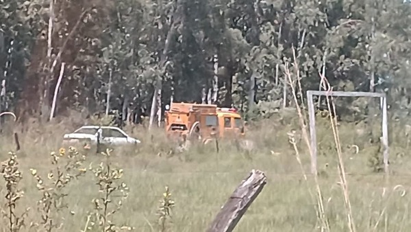 REPORTAN FALLECIMIENTO POR ATAQUE DE AVISPAS EN GRAL. DELGADO - Itapúa Noticias