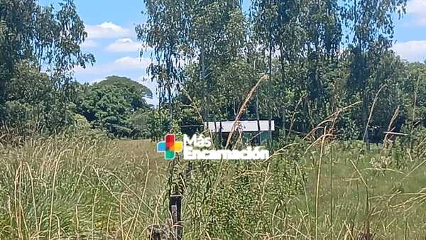 Hombre muere tras ser atacado por abejas en General Delgado