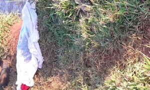 Tragedia navideña: hombre muere ahogado tras lanzarse desde un barranco – Prensa 5