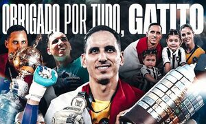La emotiva carta de despedida del Botafogo al “Gatito”