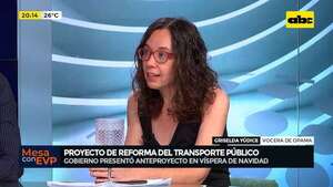 Reforma del transporte público: ¿es realmente una prioridad para el gobierno? - Mesa de Periodistas - ABC Color