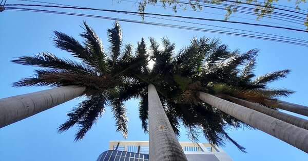 Diario HOY | Fin de semana agradable, pero máxima llegará a 37°c en el último día del año