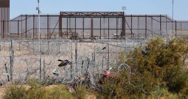 La Nación / México: hallan 12 cuerpos en fosas clandestinas en frontera con EE. UU.