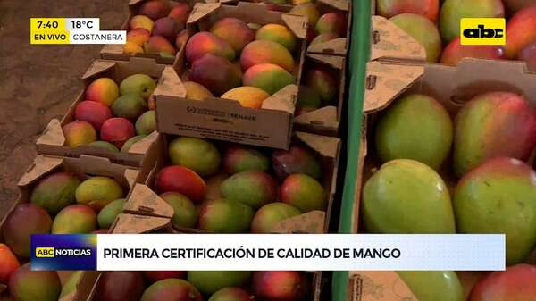 Video: El Mango obtuvo su primera certificación internacional  - ABC Noticias - ABC Color