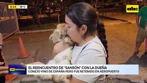 El reencuentro de “Sansón”: conejo llegó de España y fue retenido en el aeropuerto - ABC Noticias - ABC Color