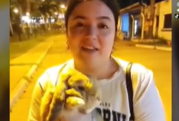 Conejo "Sansón" retenido en el aeropuerto tras llegar desde España - SNT