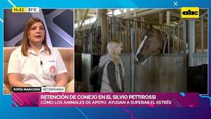 Video: así es como los animales de apoyo ayudan a superar el estrés - Ensiestados - ABC Color
