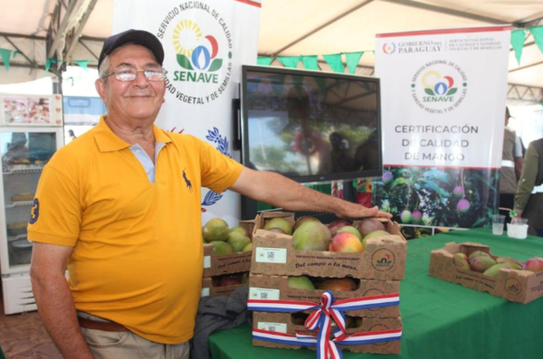 SENAVE plantea exportar mangos paraguayos - Portal Digital Cáritas Universidad Católica