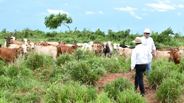 Financiamiento de la AFD al agro se tradujo en 3.610 empleos de manera directa e indirecta | Agronegocios | 5Días