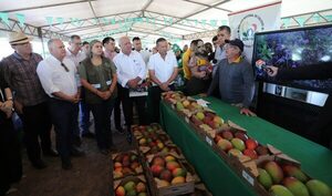 El mango recibe certificación de calidad y apunta a convertirse en nuevo producto de exportación - ADN Digital