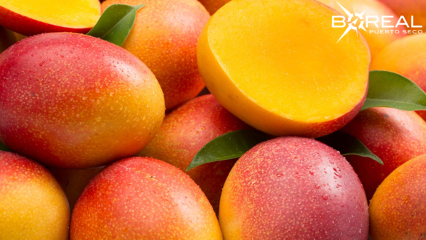 El desafío de exportar mangos: SENAVE estima primer envío en cinco años - Unicanal