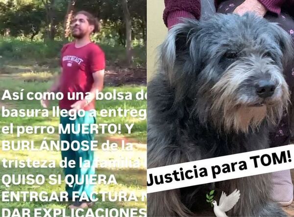 (VIDEO). Familia contrata a un supuesto veterinario para resguardar a su jagua’i y lo devuelve muerto