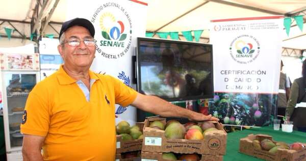 La Nación / Senave anuncia la exportación de la fruta del mango rosa a Chile