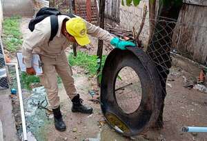 Dengue: sube a 13 las regiones más afectadas por el arbovirosis  - Nacionales - ABC Color