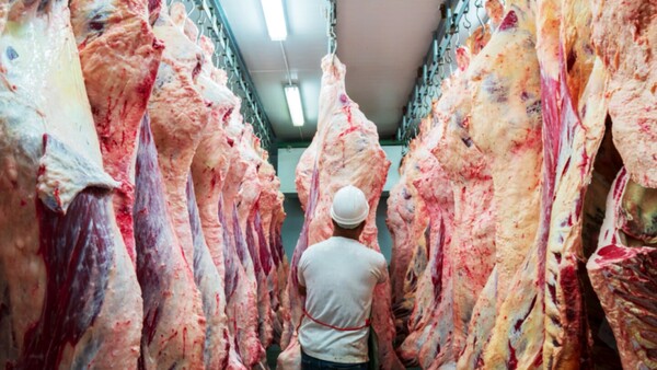 China revisa importación de carne brasileña y argentina