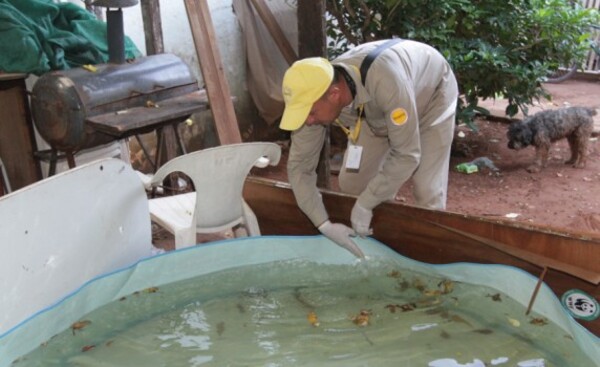 Dengue: 13 regiones sanitarias experimentan aumento de notificaciones