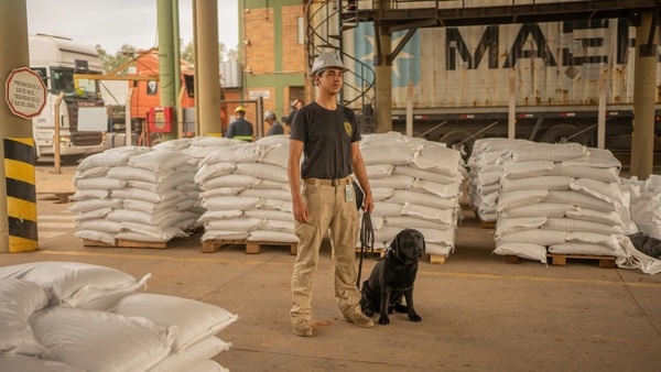 Hidrovía Paraguay-Paraná sería una ruta para el tráfico de cocaína a Europa, según medio de EE.UU