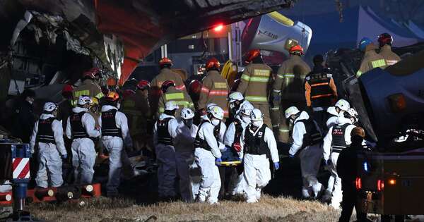 La Nación / Corea del Sur: balance de accidente aéreo alcanzaría 179 muertos y 2 supervivientes