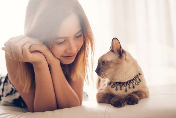 Beneficiosa y compleja: así es la fascinante conexión entre gatos y personas solitarias - Mascotas - ABC Color