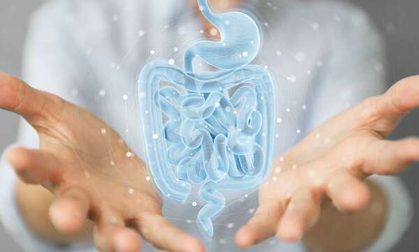 El microbioma humano y su rol fundamental en la salud y enfermedades - Ciencia - ABC Color