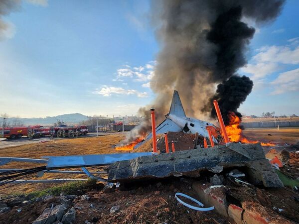 La hipótesis de las aves como causantes del accidente de avión en Corea del Sur - 1000 Noticias