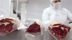Nuevo máximo en importaciones de congelado con hueso desde Argentina