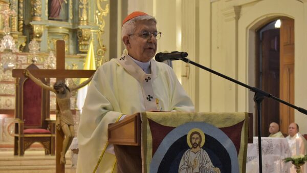 Lo que tenés que saber: Cardenal pide que se frene avance de violencia familiar