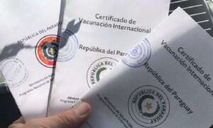 Atención, viajero: ¿qué hacer si perdés tu libreta de vacunación contra la fiebre amarilla? - Nacionales - ABC Color