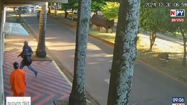 Millonario robo a cambista en Itapúa