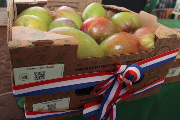 Mango paraguayo logra certificación de calidad y apunta a mercados internacionales - MarketData