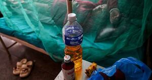 La Nación / El cambio climático incide en una quinta parte de casos de dengue