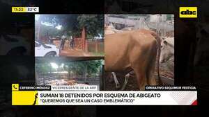 Al menos 10.000 cabezas de ganado robadas en 2024: hay 18 detenidos en la investigación  - ABC Noticias - ABC Color