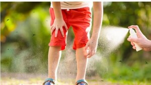 Año Nuevo: 6 tips para chulear las picaduras de mosquitos