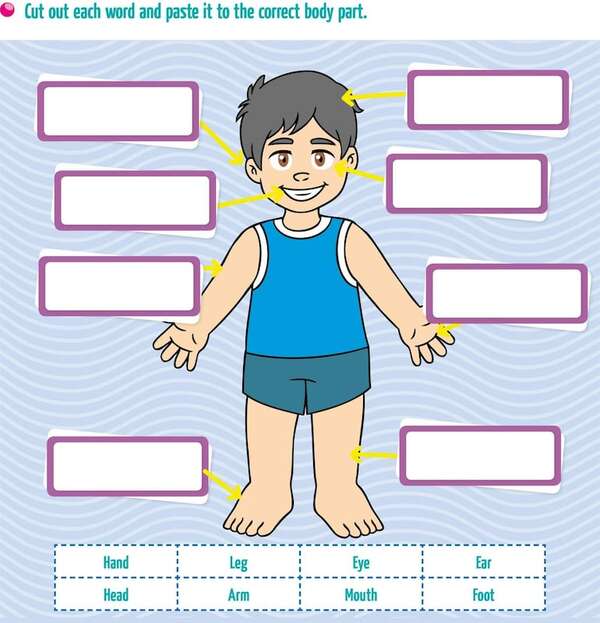 My body! - Aprender Inglés con el Escolar de ABC - ABC Color