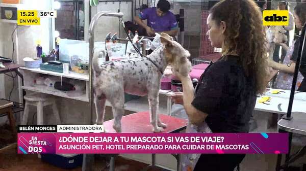¿Dónde dejar a tu mascota si vas de viaje?: hotel brinda servicio completo para cuidarlos - Ensiestados - ABC Color