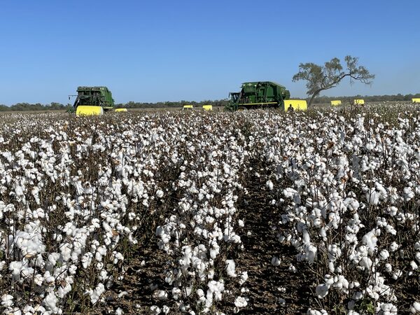 El agro presenta muy buena perspectiva y optimismo para el 2025