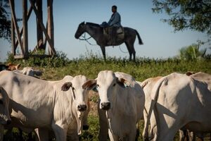 El PIB crece 4,3% al cierre del tercer trimestre de 2024, impulsado por el sector agropecuario