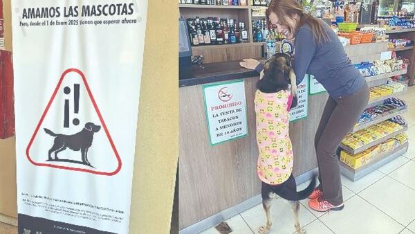 Prohibirán ingreso de peludos al súper a partir del 1 de enero