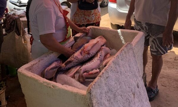 Incluí pescado en tu menú de Año Nuevo - 1000 Noticias
