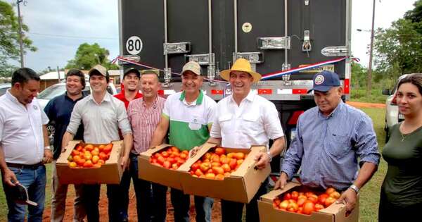 La Nación / Exportaciones de tomates generaron derrame económico de casi G. 5.000 millones