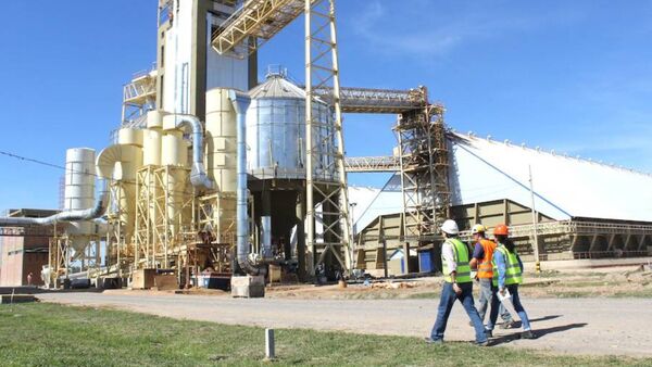 Advierten que las industrias aceiteras locales cierran el año en “estado crítico” | Agronegocios | 5Días