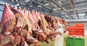La Nación / Cadena cárnica: 2024 fue óptimo en faena, pero debe permear en el sector primario
