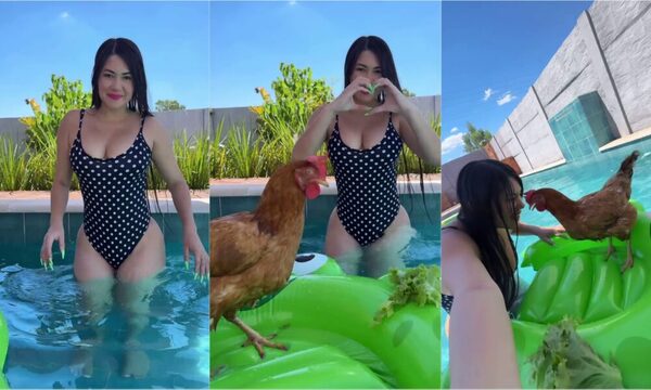 [VIDEO] Otro día sin ser la gallina Hortensia: ¡Mirá cómo piletea la mascota de Laurys Dyva!
