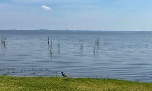 Concejal asegura que el Lago Ypacaraí podría estar habilitado para bañistas en enero de 2025